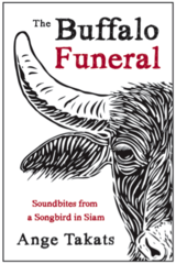 <noautolink>buffalo funeral.png</noautolink>